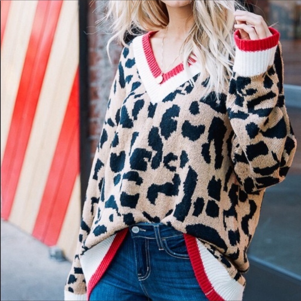💥NWT LAST ONE💥Leopard Print V-Neck Sweater - Picture 2 of 4